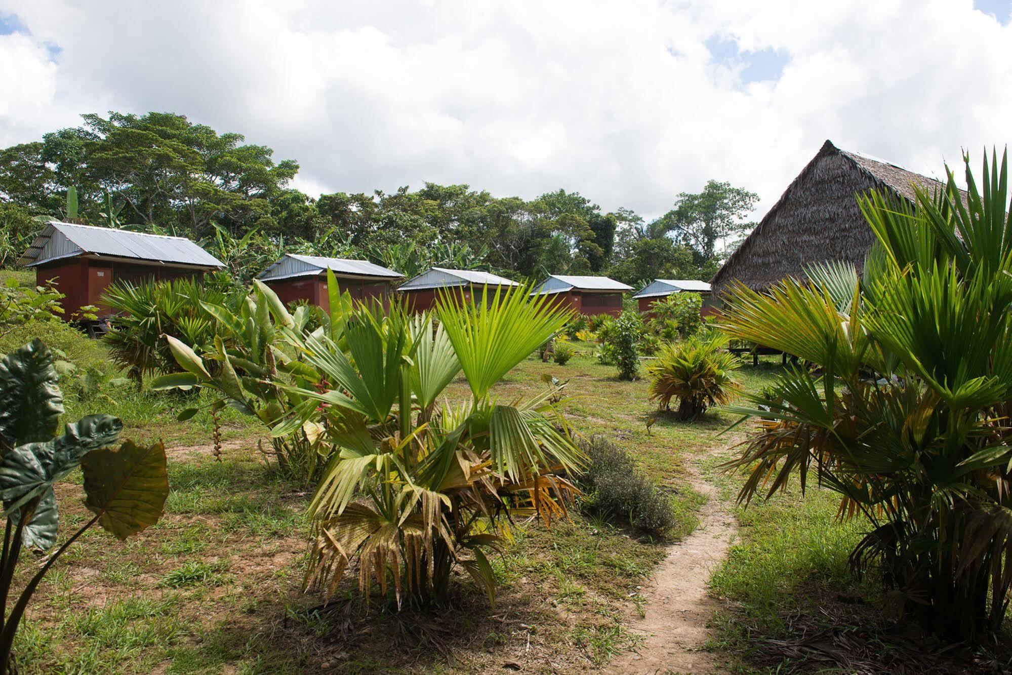 إكيتوس Maniti Expeditions Eco Lodge المظهر الخارجي الصورة